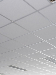 Untitled (600 x 800 px) (4)